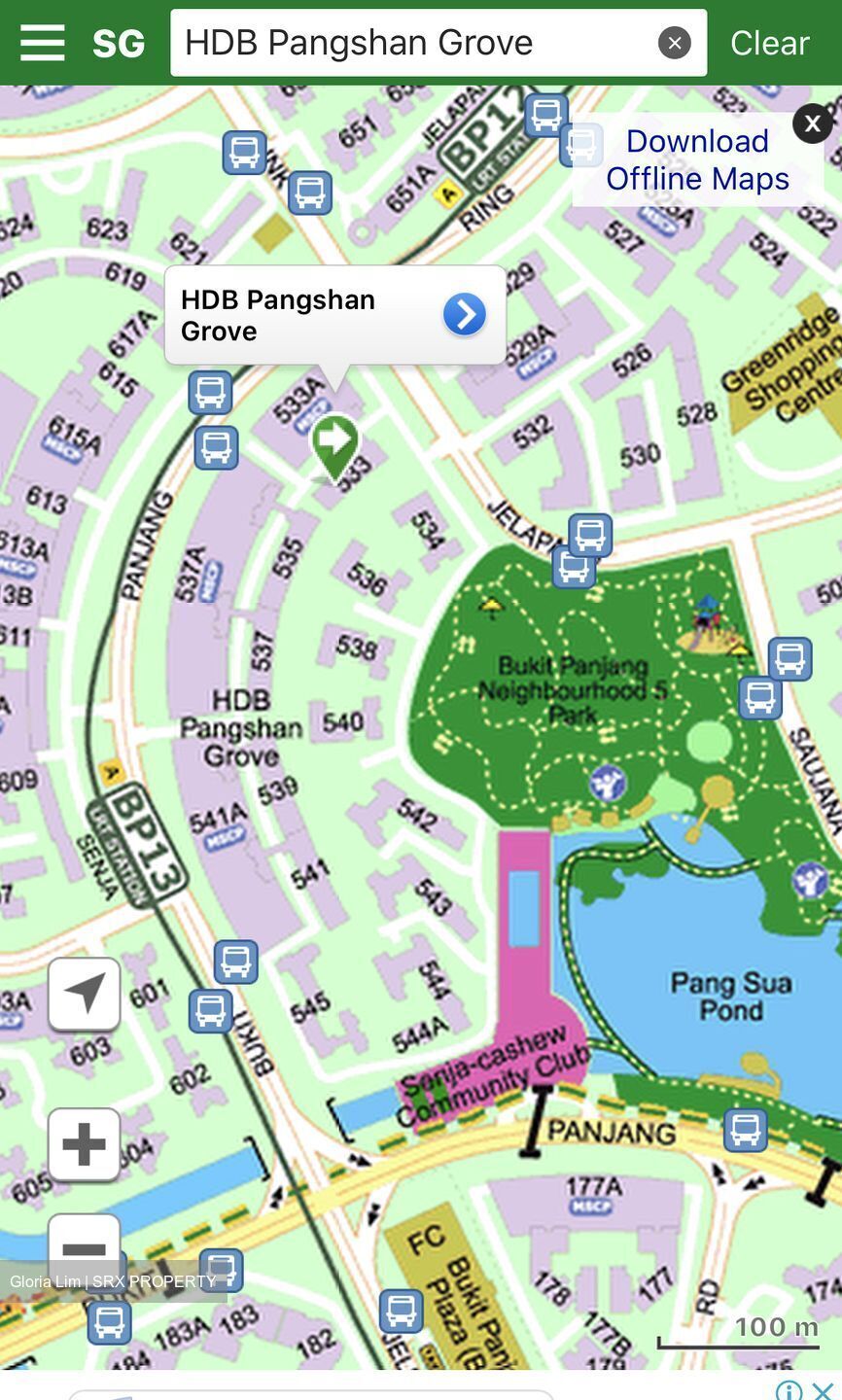 Bukit Panjang Ring Road (Bukit Panjang),  #472785211